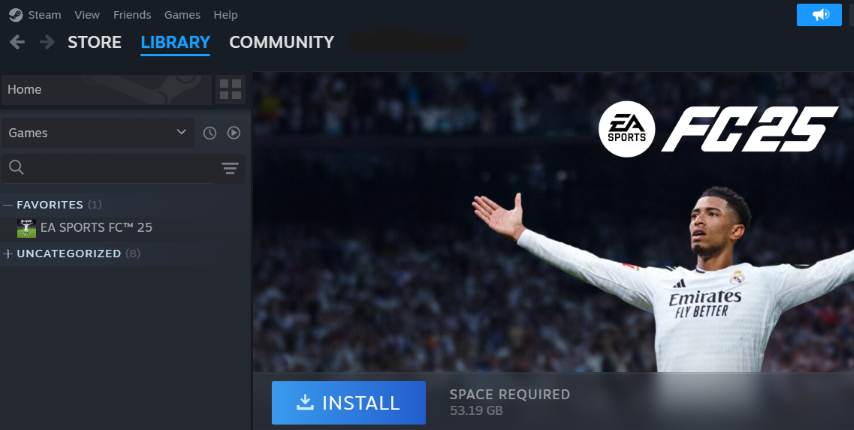 FIFA 25